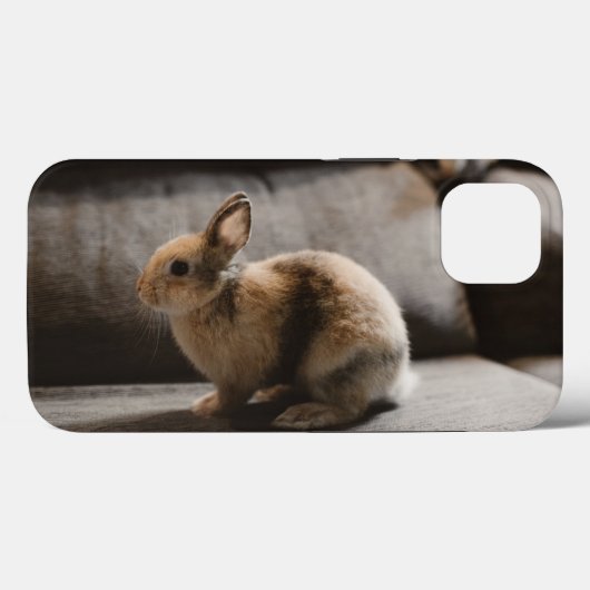 Kutest Baby Animals | Nederland Dwarf Rabbit Case-Mate iPhone Case (Achterkant (horizontaal))
