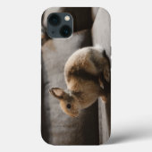 Kutest Baby Animals | Nederland Dwarf Rabbit Case-Mate iPhone Case (Achterkant)