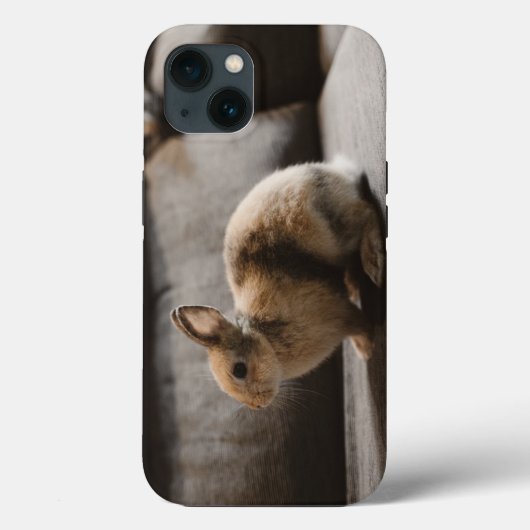 Kutest Baby Animals | Nederland Dwarf Rabbit Case-Mate iPhone Case (Achterkant)