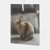Kutest Baby Animals | Nederland Dwarf Rabbit Glas Ornament (Voorkant links)