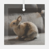 Kutest Baby Animals | Nederland Dwarf Rabbit Glas Ornament (Voorkant)