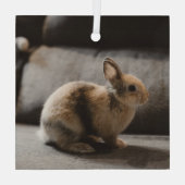 Kutest Baby Animals | Nederland Dwarf Rabbit Glas Ornament (Achterkant)