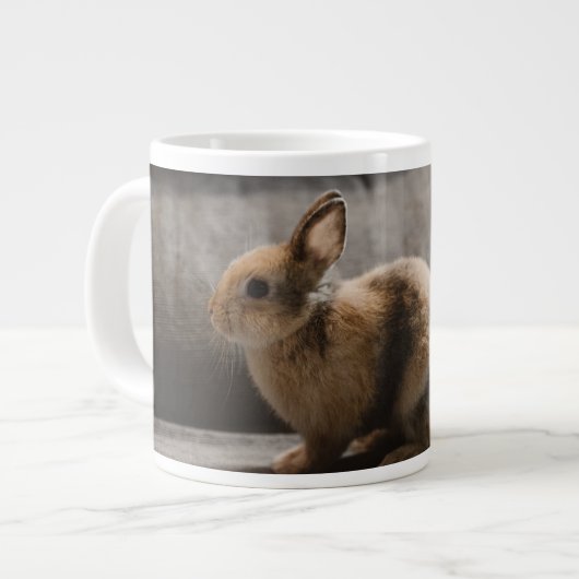 Kutest Baby Animals | Nederland Dwarf Rabbit Grote Koffiekop (Links)