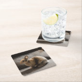 Kutest Baby Animals | Nederland Dwarf Rabbit Kartonnen Onderzetters (Insitu)