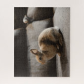 Kutest Baby Animals | Nederland Dwarf Rabbit Legpuzzel (Verticaal)