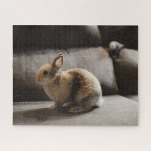Kutest Baby Animals   Nederland Dwarf Rabbit Legpuzzel