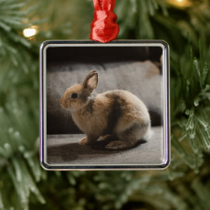Kutest Baby Animals   Nederland Dwarf Rabbit Metalen Ornament
