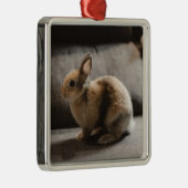 Kutest Baby Animals | Nederland Dwarf Rabbit Metalen Ornament (Rechts)