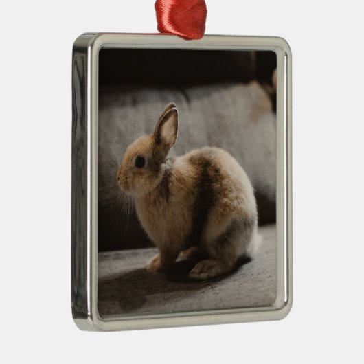 Kutest Baby Animals | Nederland Dwarf Rabbit Metalen Ornament (Rechts)