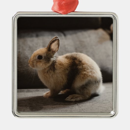Kutest Baby Animals | Nederland Dwarf Rabbit Metalen Ornament (Voorkant)