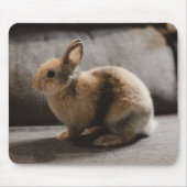 Kutest Baby Animals | Nederland Dwarf Rabbit Muismat (Voorkant)