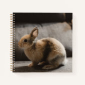 Kutest Baby Animals | Nederland Dwarf Rabbit Notitieboek (Voorkant)