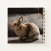 Kutest Baby Animals | Nederland Dwarf Rabbit Notitieboek (Achterkant)