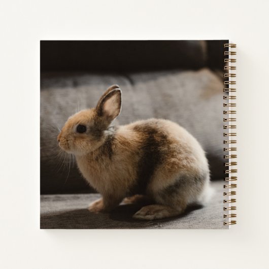 Kutest Baby Animals | Nederland Dwarf Rabbit Notitieboek (Achterkant)