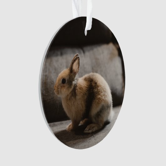 Kutest Baby Animals | Nederland Dwarf Rabbit Ornament (voorkant)