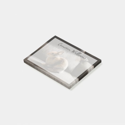 Kutest Baby Animals | Nederland Dwarf Rabbit Post-it® Notes (Schuin)