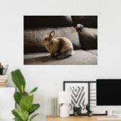 Kutest Baby Animals | Nederland Dwarf Rabbit Poster (Thuiskantoor)