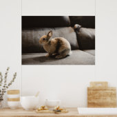 Kutest Baby Animals | Nederland Dwarf Rabbit Poster (Keuken)