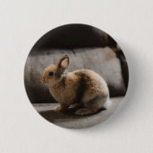 Kutest Baby Animals | Nederland Dwarf Rabbit Ronde Button 5,7 Cm (Voorkant)