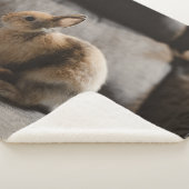 Kutest Baby Animals | Nederland Dwarf Rabbit Sherpa Deken (3/4)