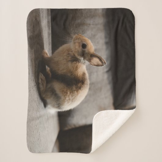 Kutest Baby Animals | Nederland Dwarf Rabbit Sherpa Deken (Voorkant)