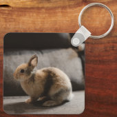 Kutest Baby Animals | Nederland Dwarf Rabbit Sleutelhanger (Achterkant)