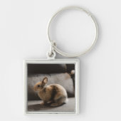 Kutest Baby Animals | Nederland Dwarf Rabbit Sleutelhanger (Voorkant)