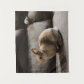 Kutest Baby Animals | Nederland Dwarf Rabbit Wandkleed (Voorkant)