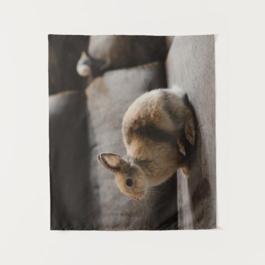 Kutest Baby Animals | Nederland Dwarf Rabbit Wandkleed (Voorkant)