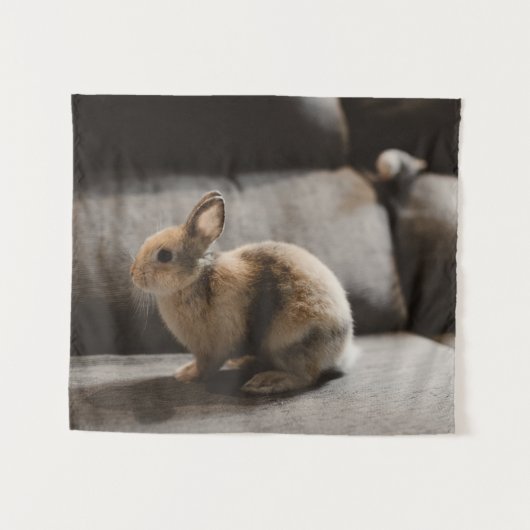 Kutest Baby Animals | Nederland Dwarf Rabbit Wandkleed (Voorkant (horizontaal))