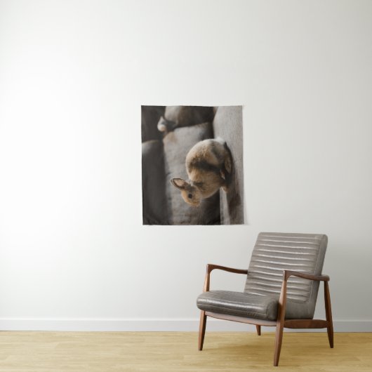 Kutest Baby Animals | Nederland Dwarf Rabbit Wandkleed (In situ)