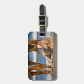 Kutest Baby Animals | Newborn Corolla Wild Horse Bagagelabel (Voorkant verticaal)