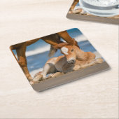 Kutest Baby Animals | Newborn Corolla Wild Horse Kartonnen Onderzetters (Schuin)