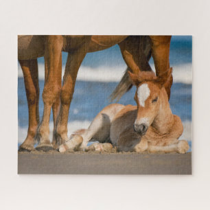 Kutest Baby Animals   Newborn Corolla Wild Horse Legpuzzel