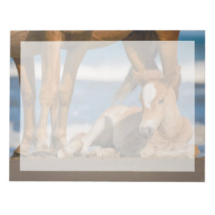 Kutest Baby Animals Newborn Corolla Wild Horse Notitieblok