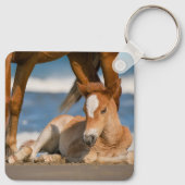 Kutest Baby Animals | Newborn Corolla Wild Horse Sleutelhanger (Achterkant)