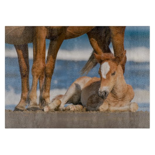 Kutest Baby Animals | Newborn Corolla Wild Horse Snijplank (Voorkant)