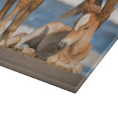 Kutest Baby Animals | Newborn Corolla Wild Horse Snijplank (Hoek)