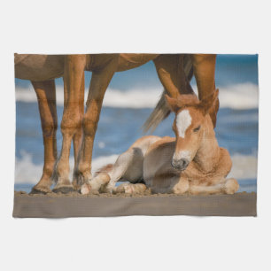 Kutest Baby Animals Newborn Corolla Wild Horse Theedoek