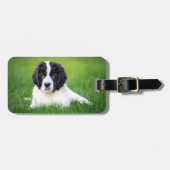 Kutest Baby Animals | Newfoundland Puppy Bagagelabel (Voorkant horizontaal)