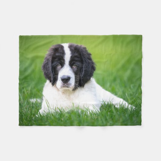 Kutest Baby Animals | Newfoundland Puppy Fleece Deken (Voorkant (Horizontaal))