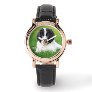 Kutest Baby Animals Newfoundland Puppy Horloge