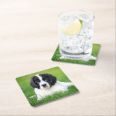 Kutest Baby Animals | Newfoundland Puppy Kartonnen Onderzetters (Insitu)