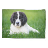 Kutest Baby Animals | Newfoundland Puppy Kussensloop (Achterkant)