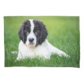 Kutest Baby Animals | Newfoundland Puppy Kussensloop (Voorkant)