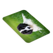 Kutest Baby Animals | Newfoundland Puppy Magneet (Rechterzijde)