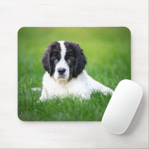 Kutest Baby Animals Newfoundland Puppy Muismat