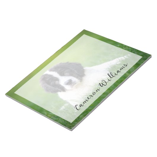 Kutest Baby Animals | Newfoundland Puppy Notitieblok (Schuin)