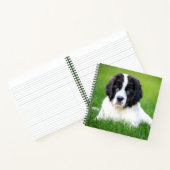 Kutest Baby Animals | Newfoundland Puppy Notitieboek (Binnen)