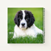 Kutest Baby Animals | Newfoundland Puppy Notitieboek (Achterkant)